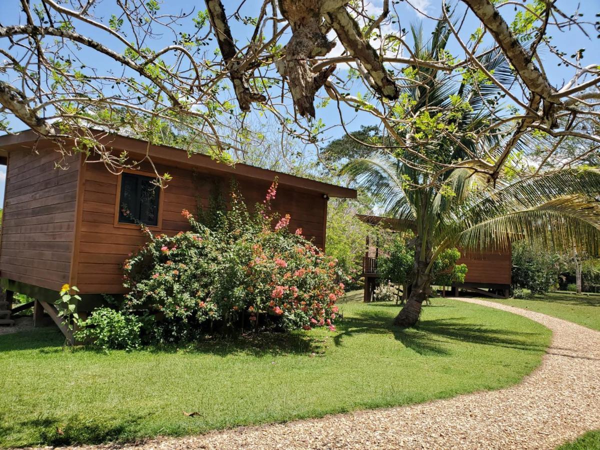 Yumas Riverfront Lodge San Ignacio Kültér fotó