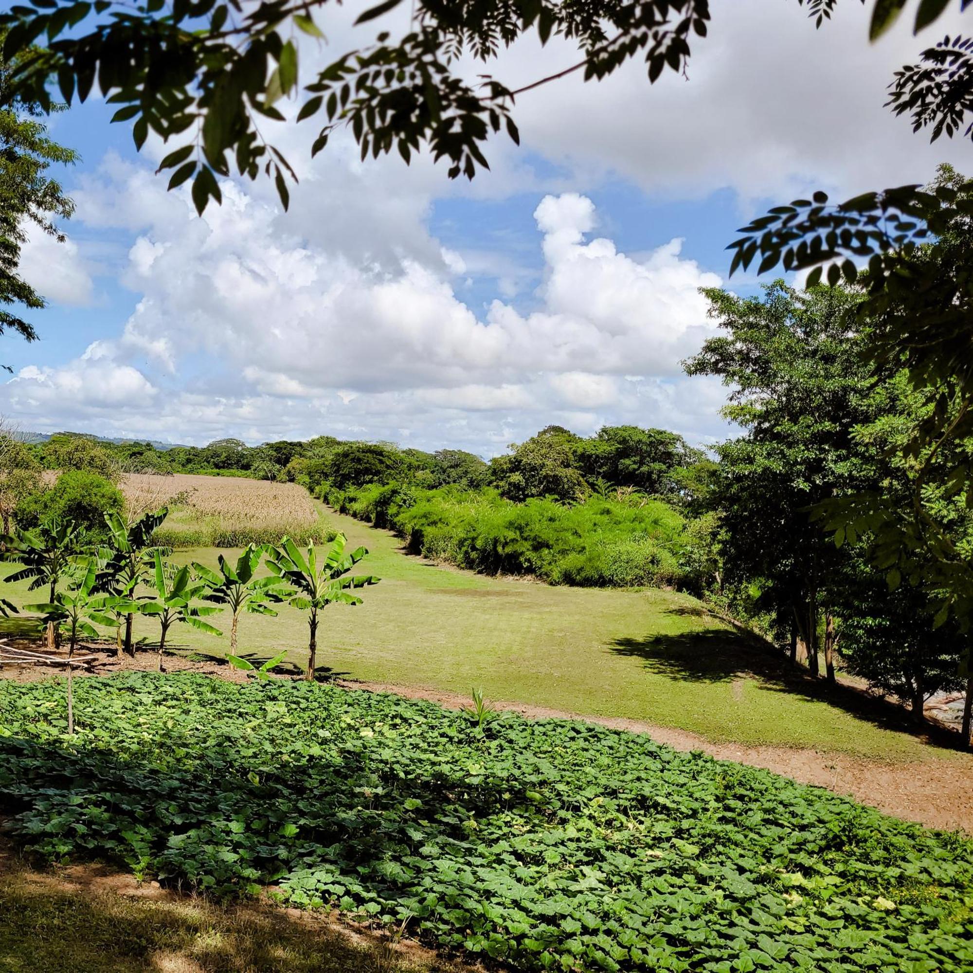 Yumas Riverfront Lodge San Ignacio Kültér fotó