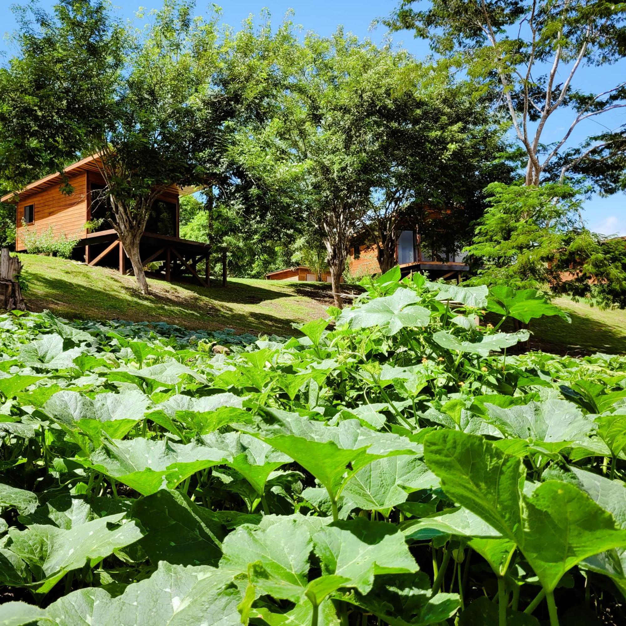 Yumas Riverfront Lodge San Ignacio Kültér fotó