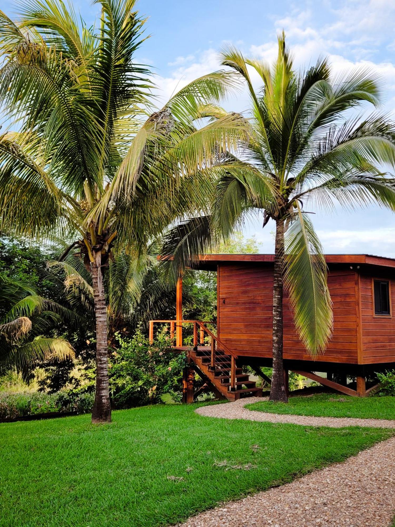 Yumas Riverfront Lodge San Ignacio Kültér fotó
