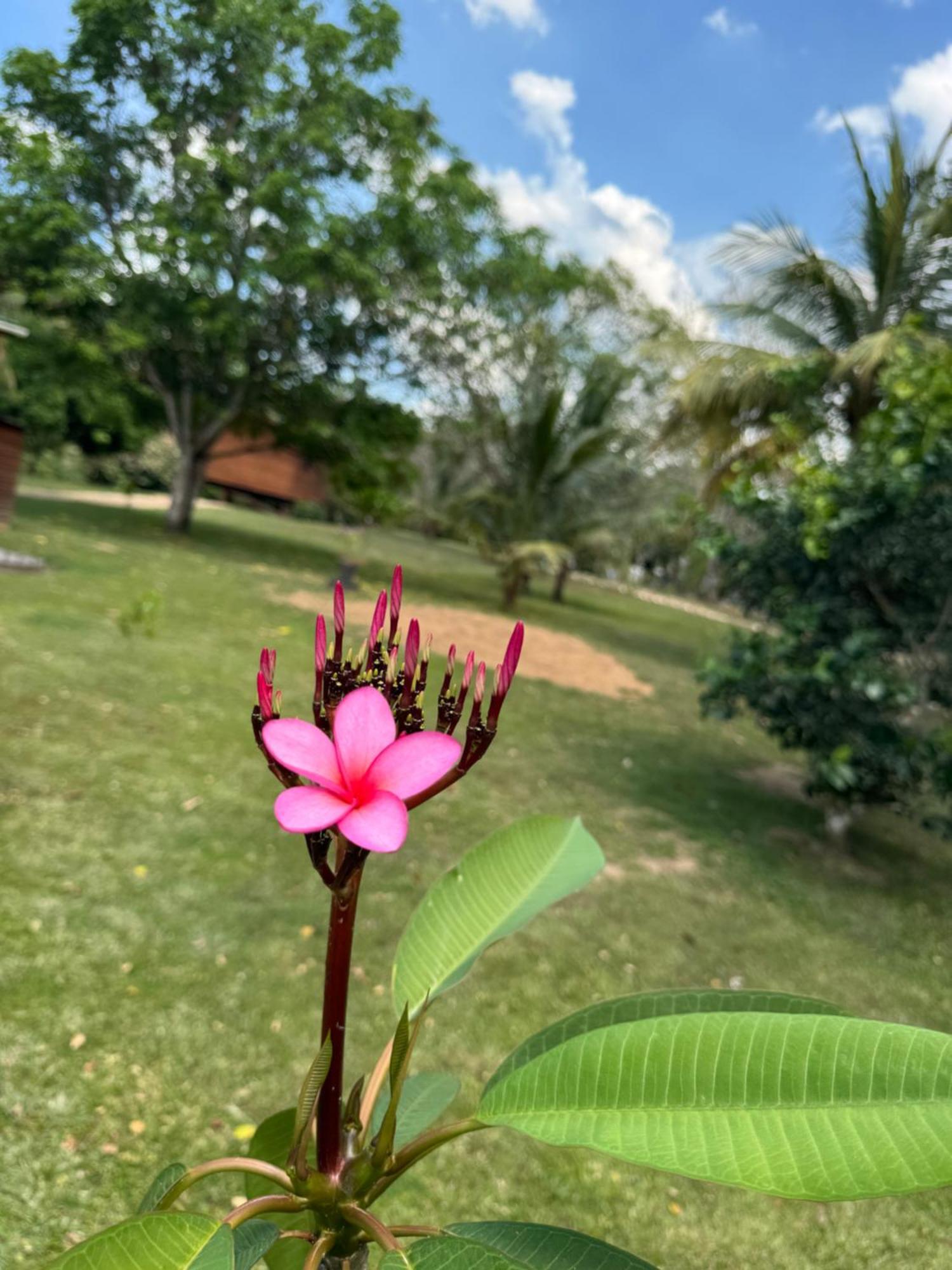 Yumas Riverfront Lodge San Ignacio Kültér fotó